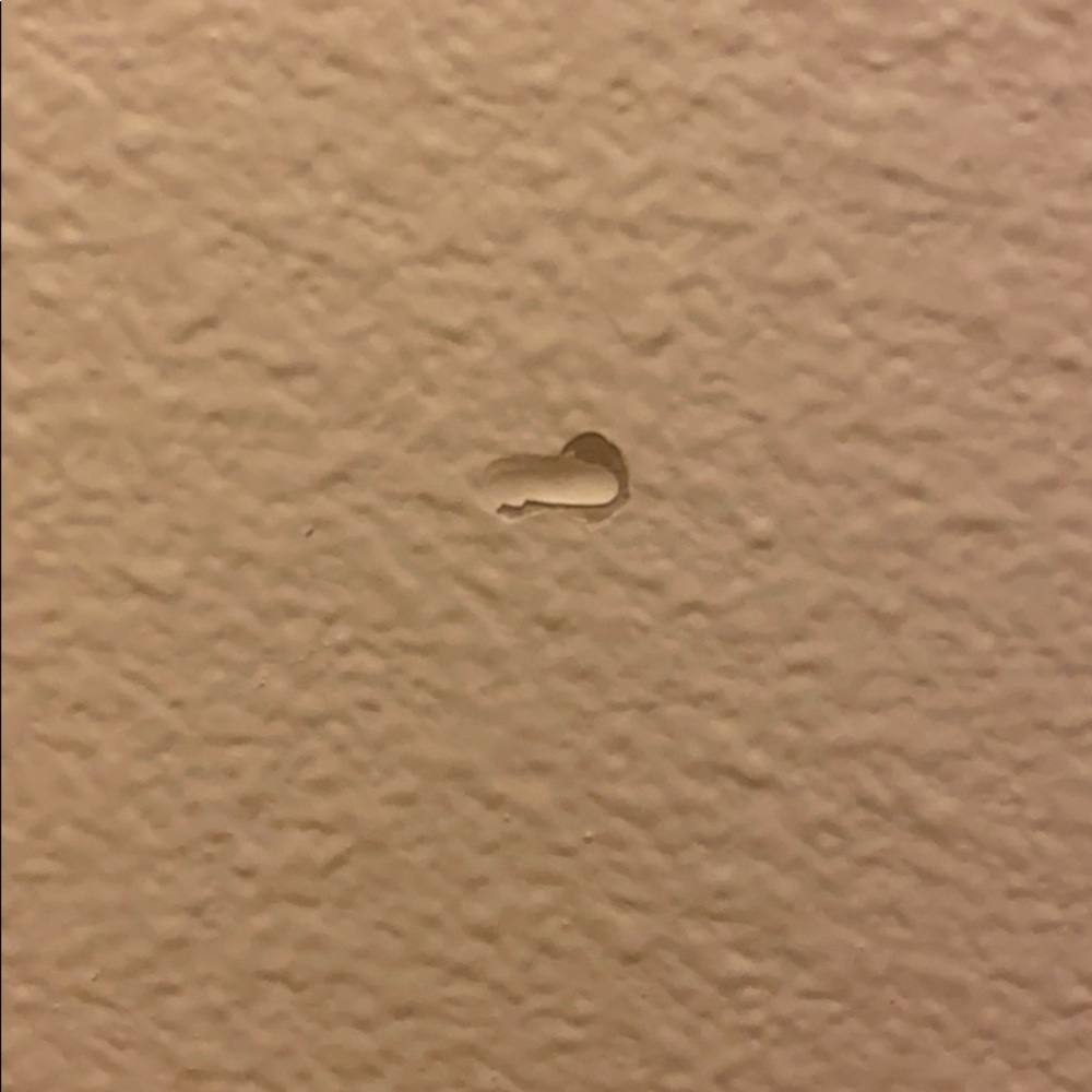 Meet your Posher, Ayliz